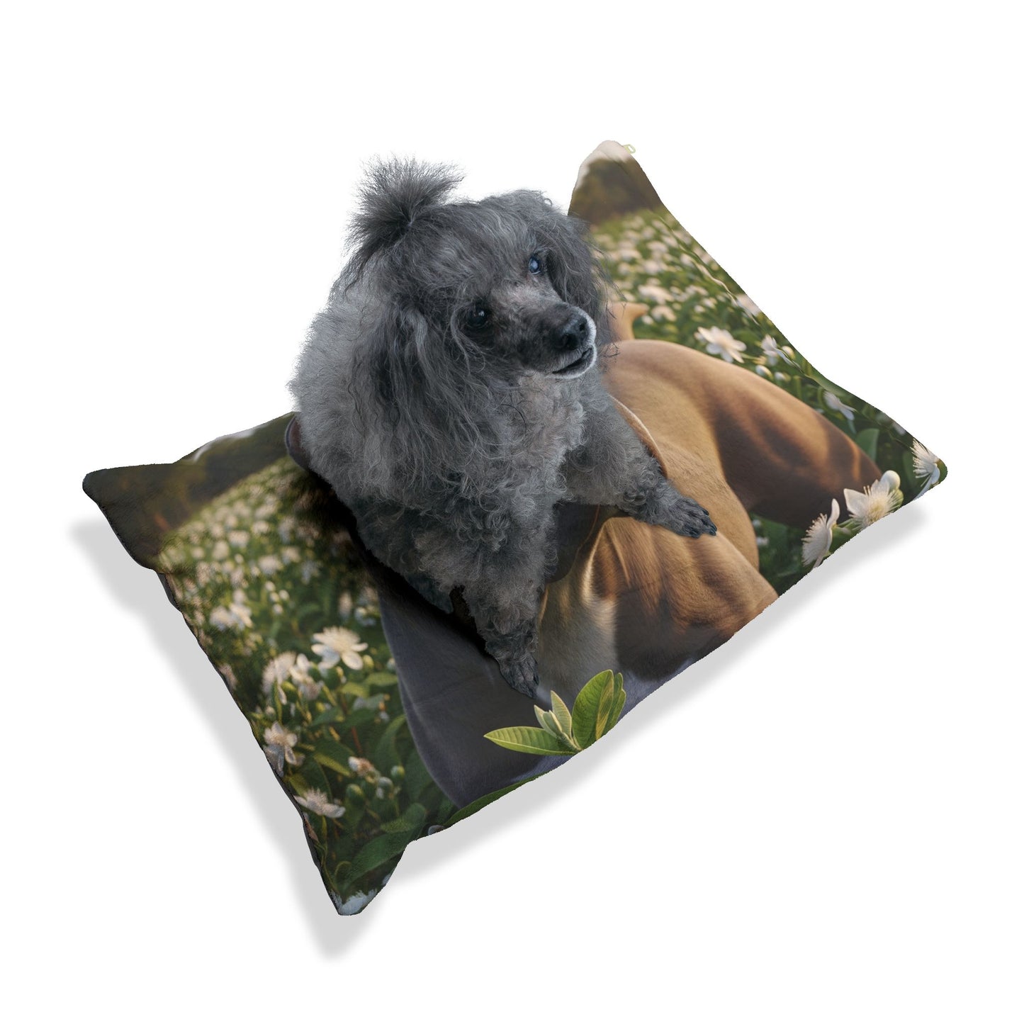 Bully Kutta Pet Bed