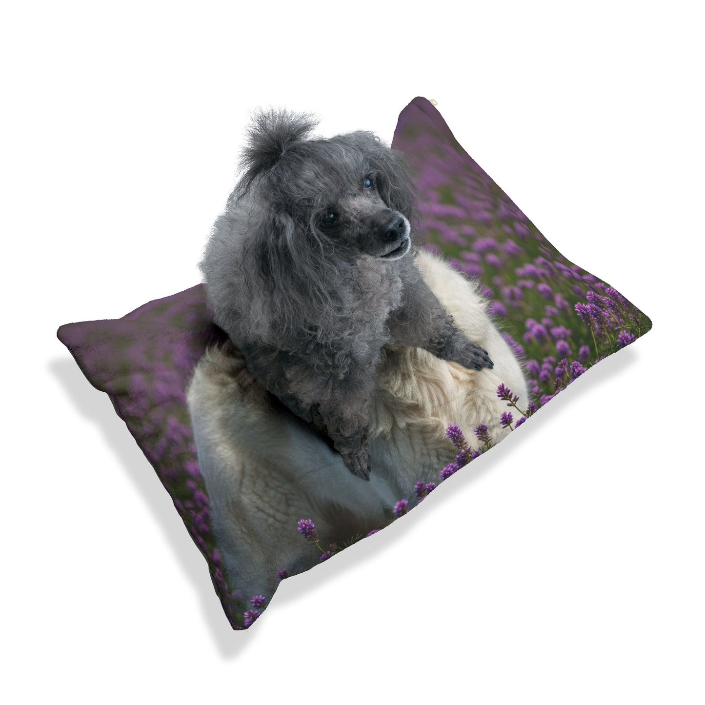 Kuvasz Pet Bed