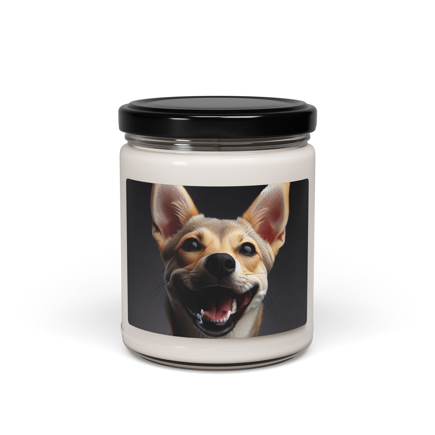 Bougie parfumée Chippiparai à la cire de soja, 255 g 