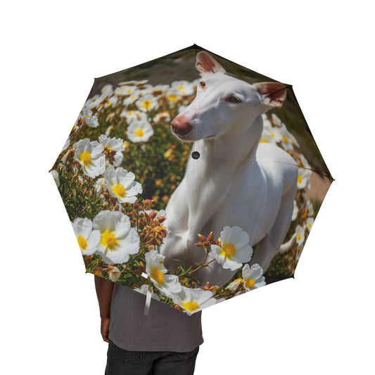 Ibizan Hound Semi-Automatic Foldable Umbrella