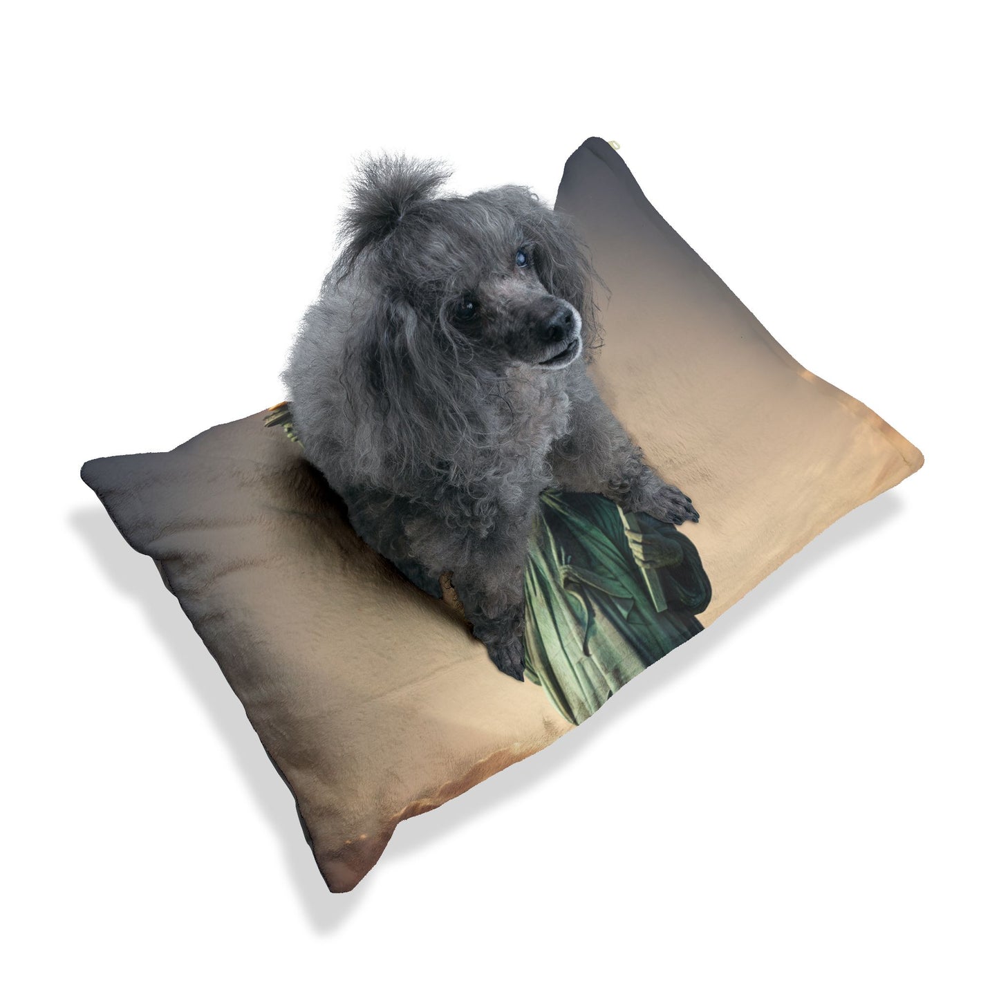 American Pit Bull Terrier Pet Bed