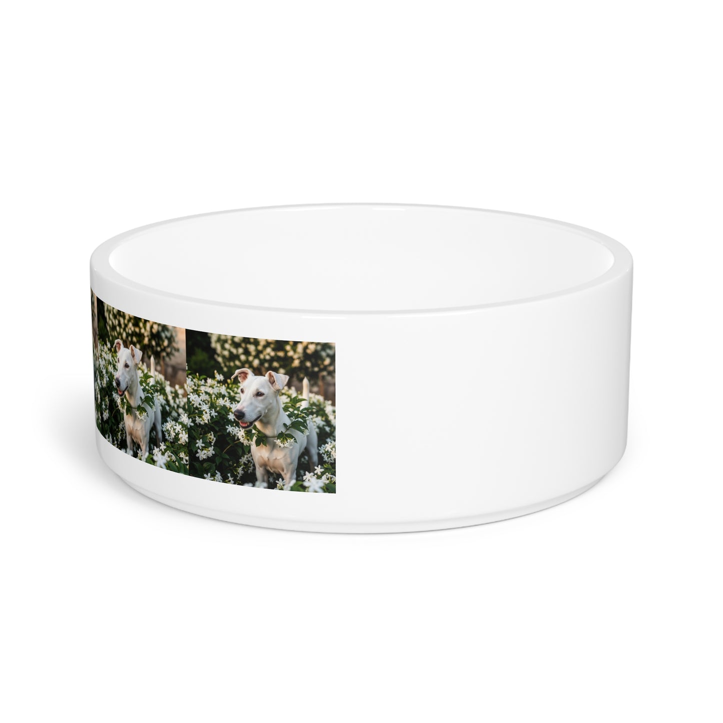 Gull Terrier Pet Bowl