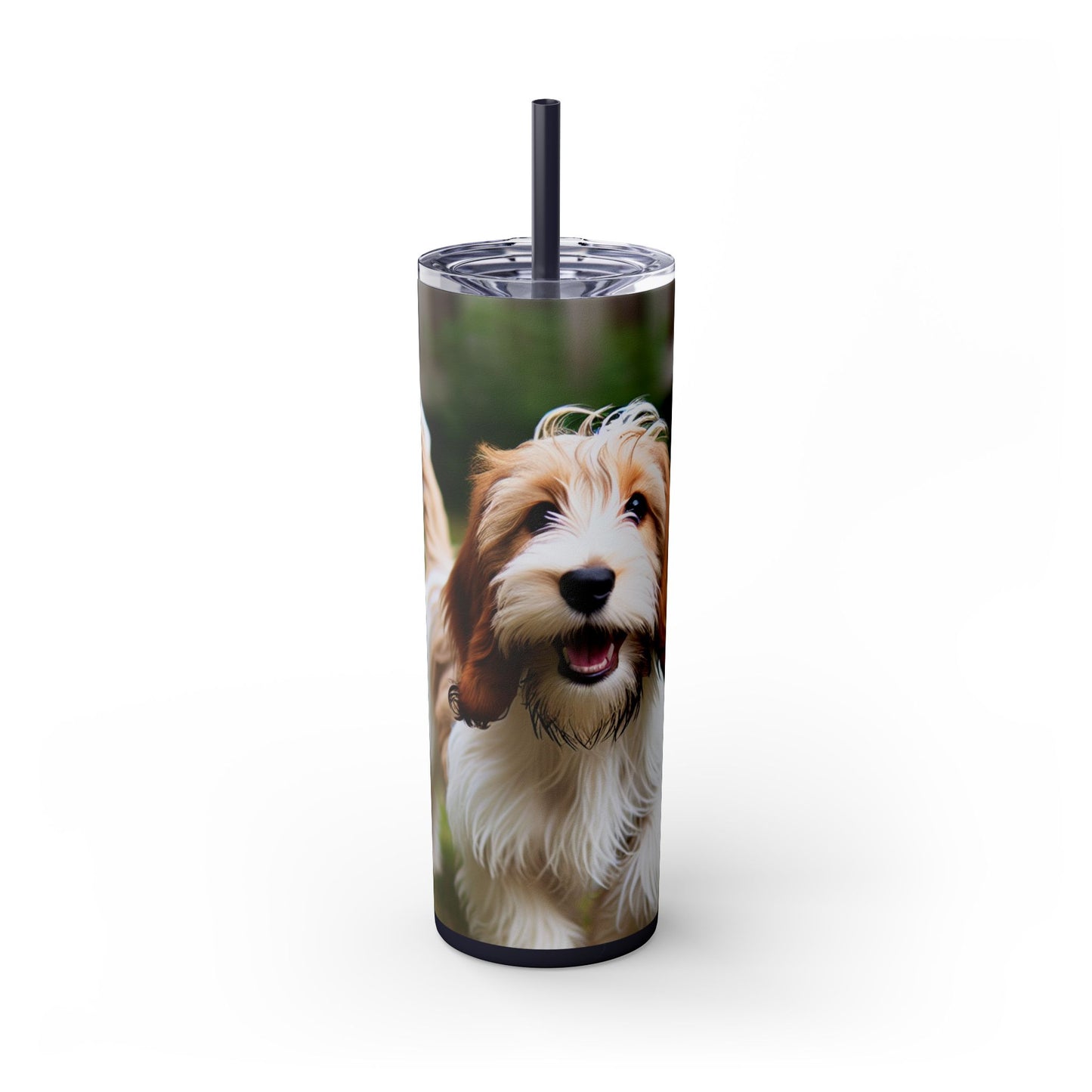 Petit Basset Griffon Vendeen Skinny Tumbler with Straw, 20oz