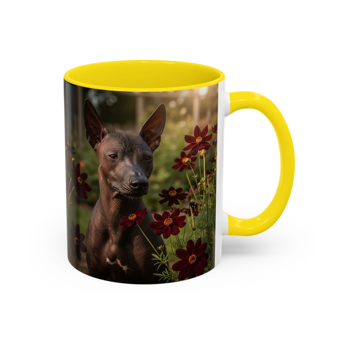 Xoloitzcuintli Accent Coffee Mug - Perfect Gift for Dog Lovers