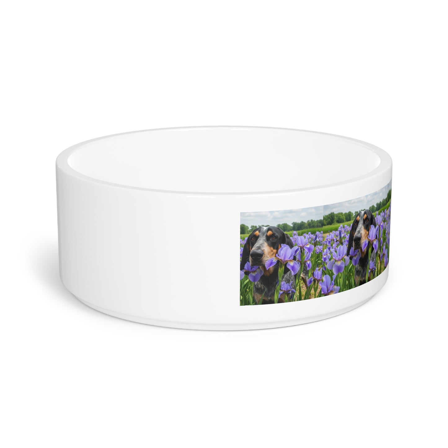 Bluetick Coonhound Pet Bowl