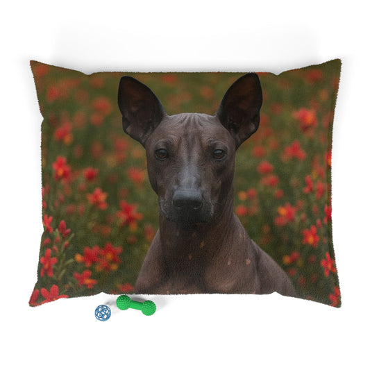 Peruvian Inca Orchid Pet Bed