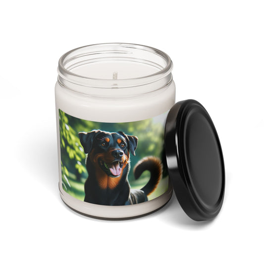 Beauceron- Scented Soy Candle, 9oz