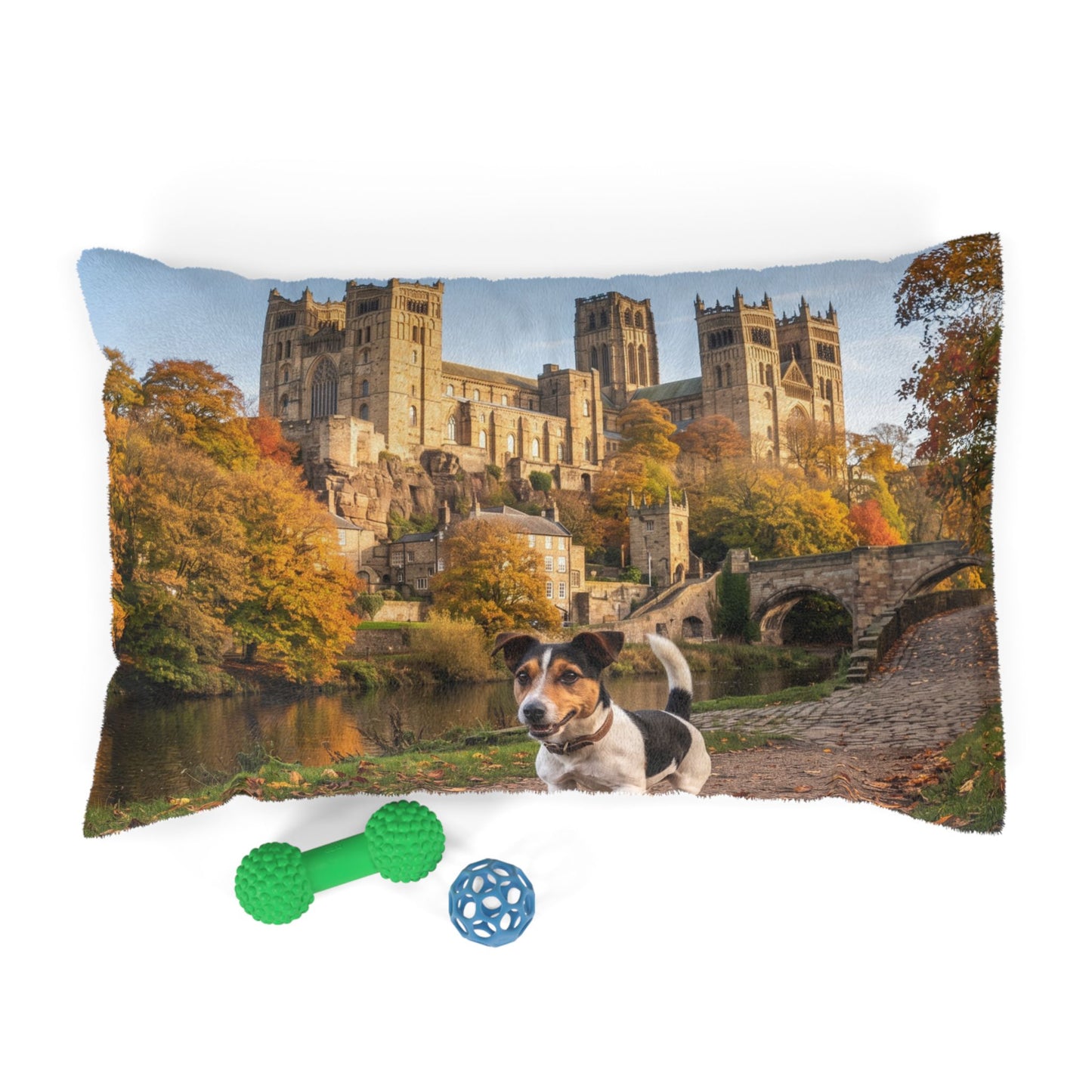 Jack Russell Terrier Pet Bed