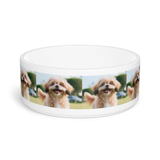 Pekapoo Pet Bowl
