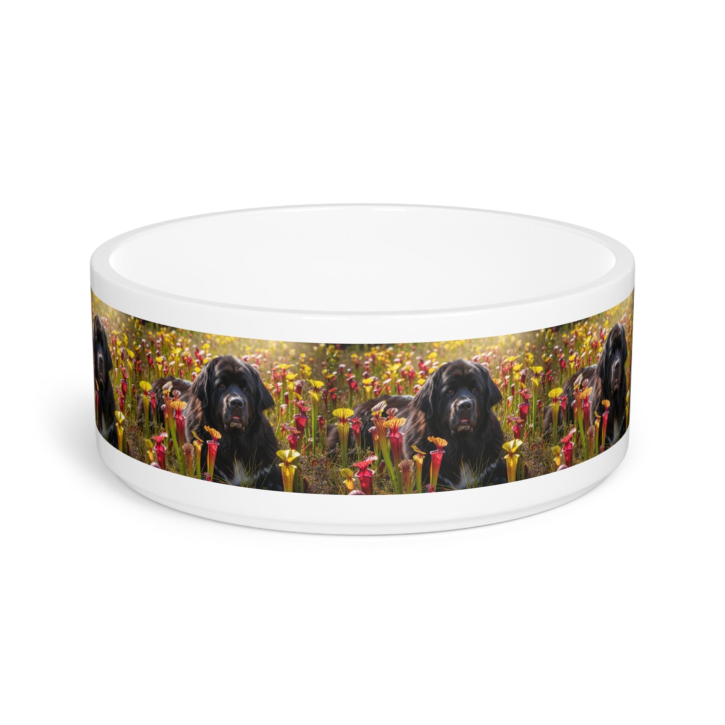 Ceramic Pet Bowl – 16 oz Dog Feeding Bowl