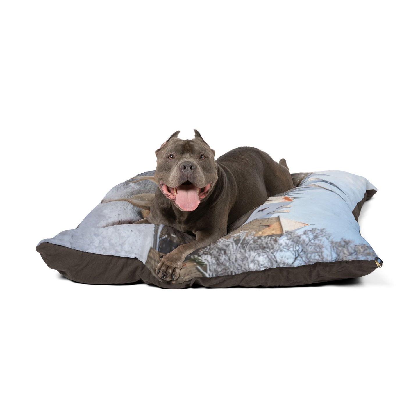 Czechoslovakian Wolfdog Pet Bed