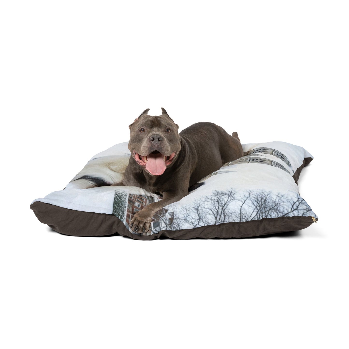 Papillon Pet Bed
