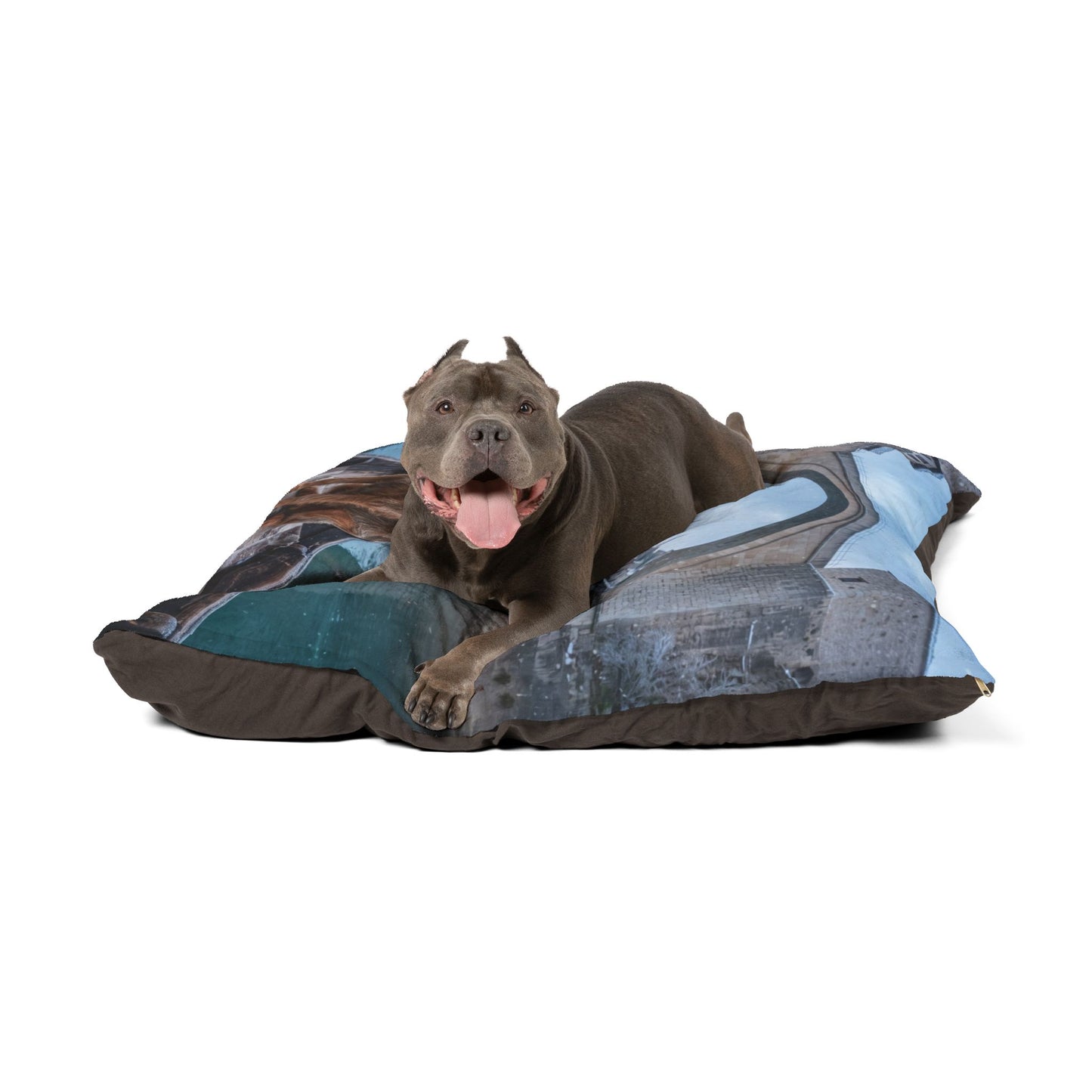 Barak Dog Pet Bed