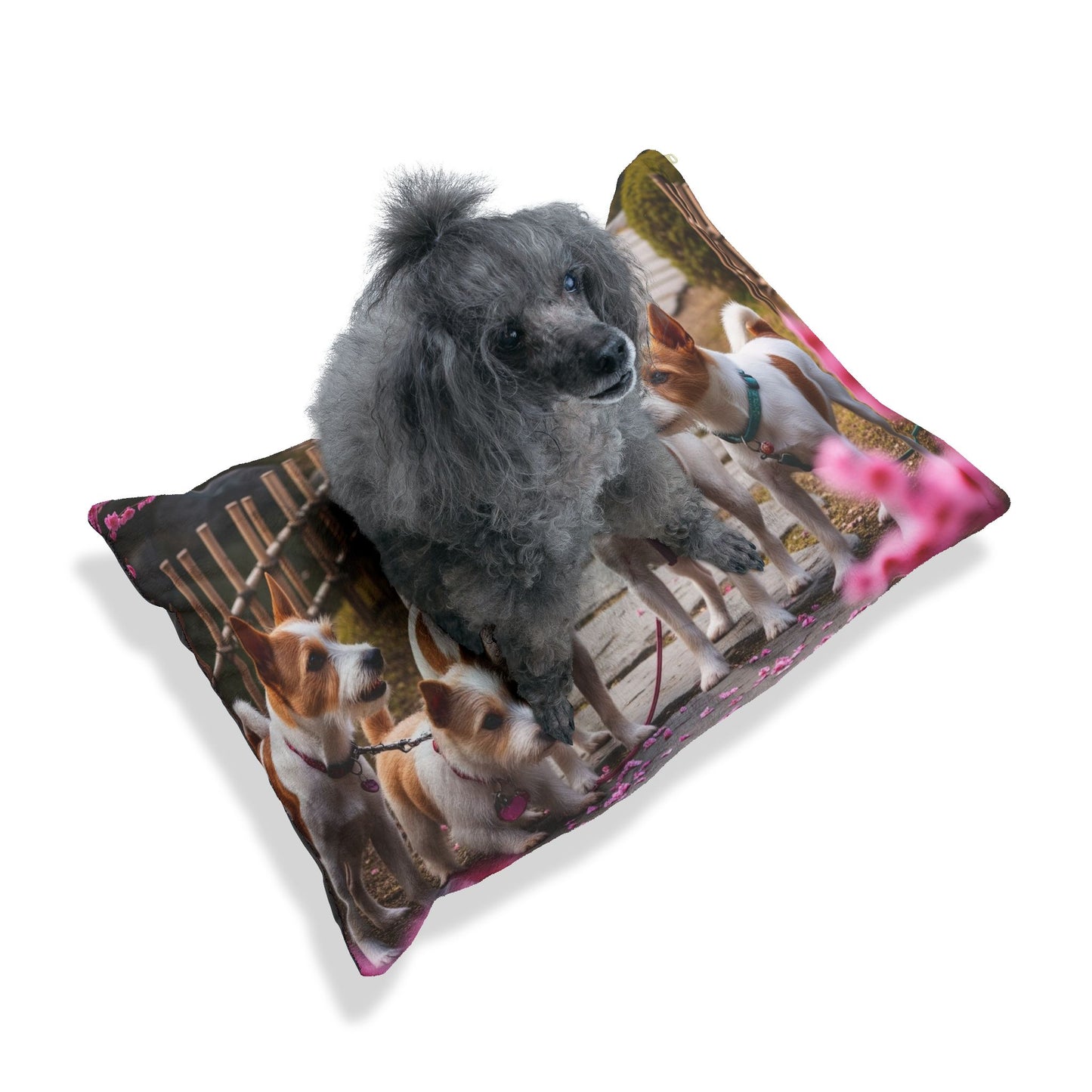 Japanese Terrier Pet Bed