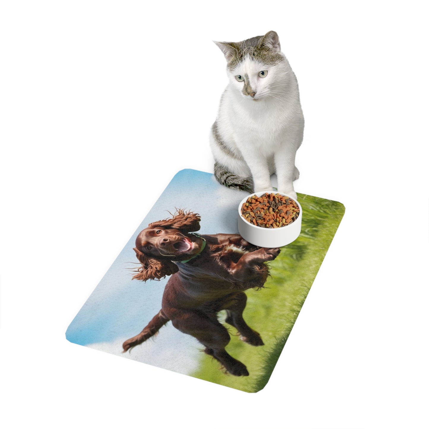 Pet Food Mat (12x18) - Irish Water Spaniel