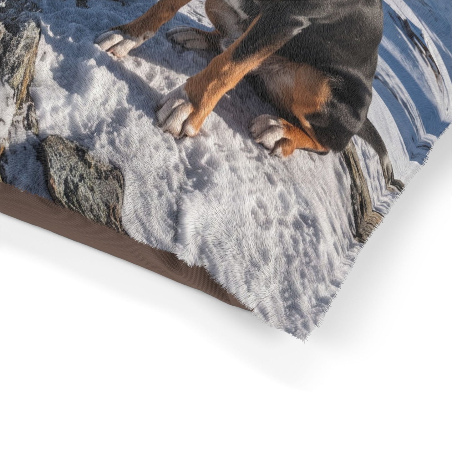 Entlebucher Mountain Dog Pet Bed