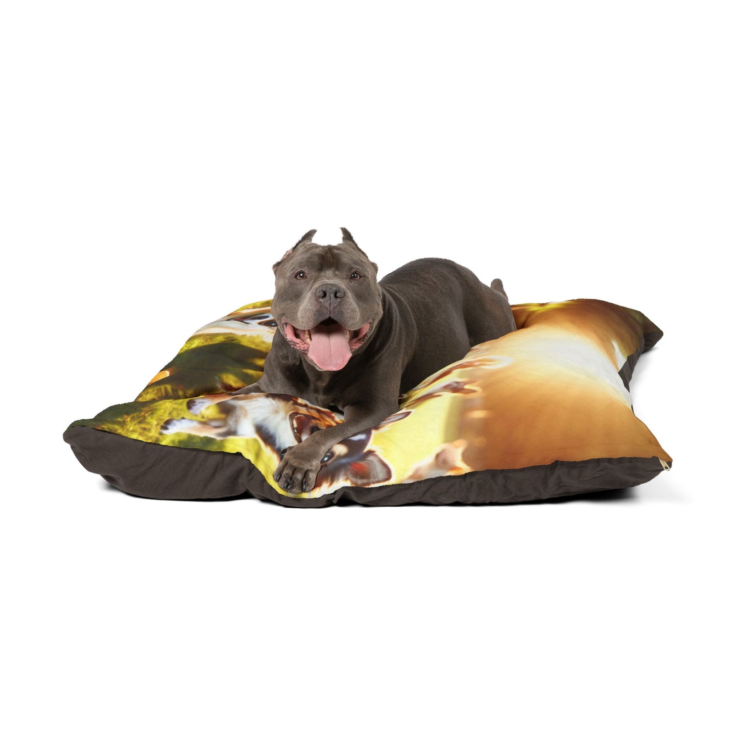 Chihuahua Pet Bed