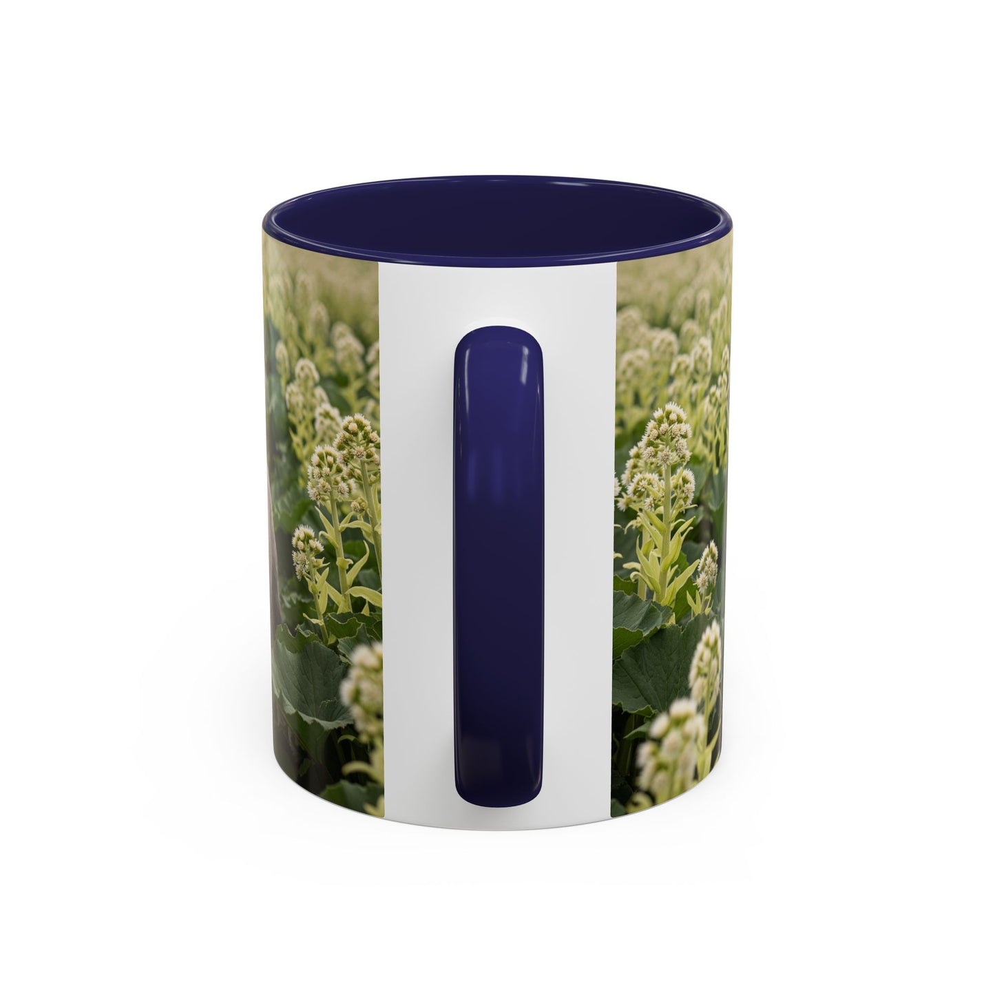 Mug à café avec motif Schnauzer standard - Cadeau idéal pour les amoureux des chiens