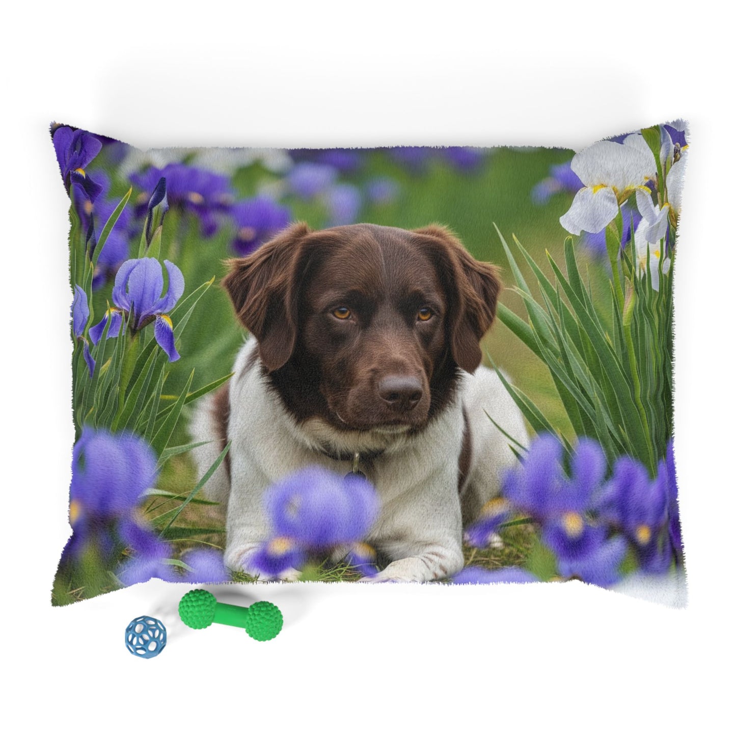 Lit pour animaux Stabyhouns