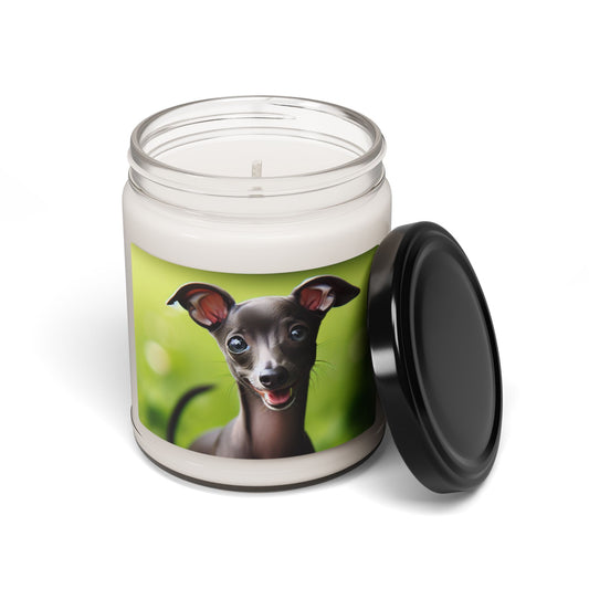 Italian Greyhound- Scented Soy Candle, 9oz