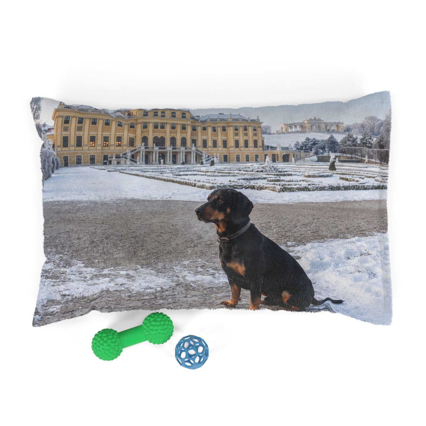 Austrian Black and Tan Hound Pet Bed