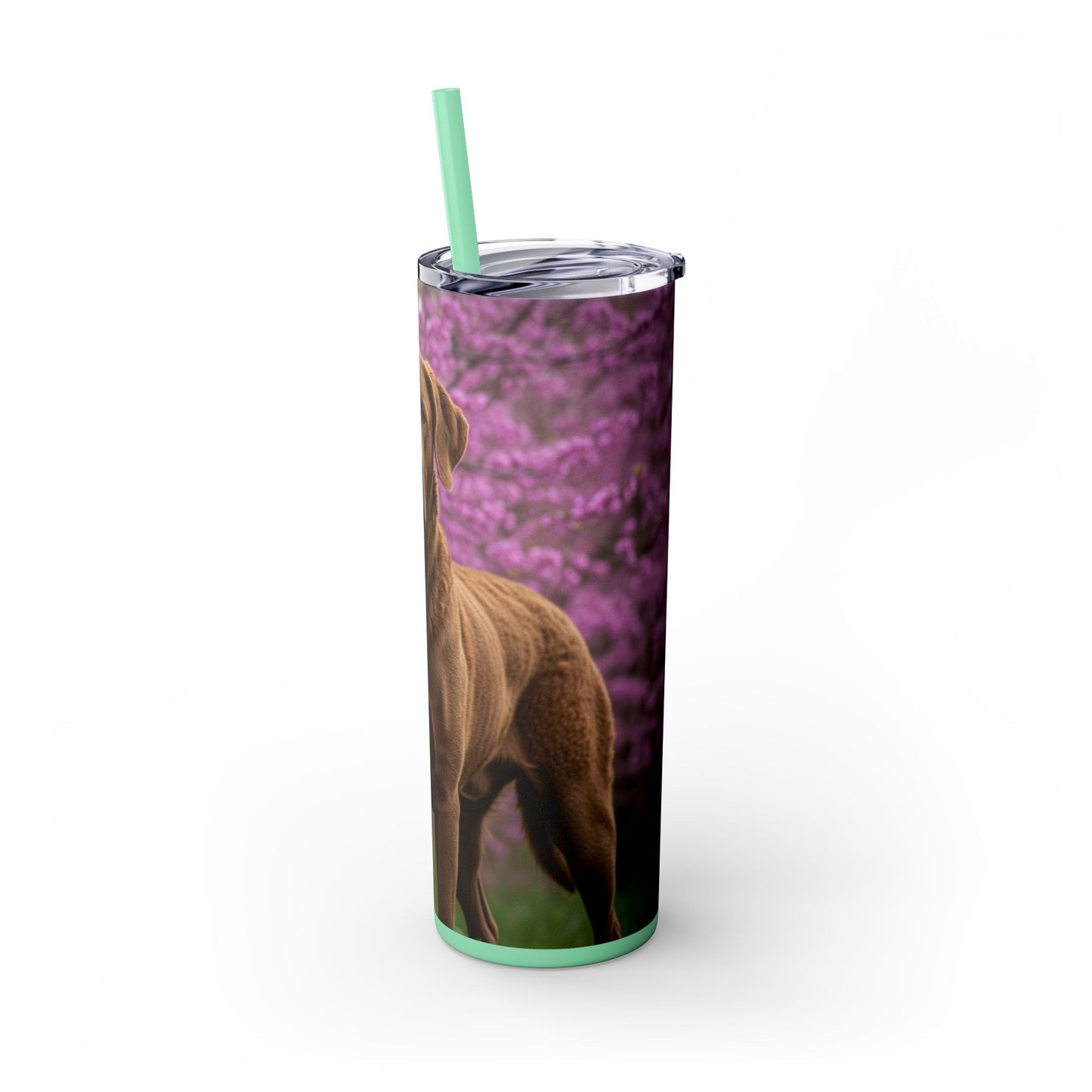 Gobelet isotherme Chesapeake Bay Retriever avec paille, 590 ml