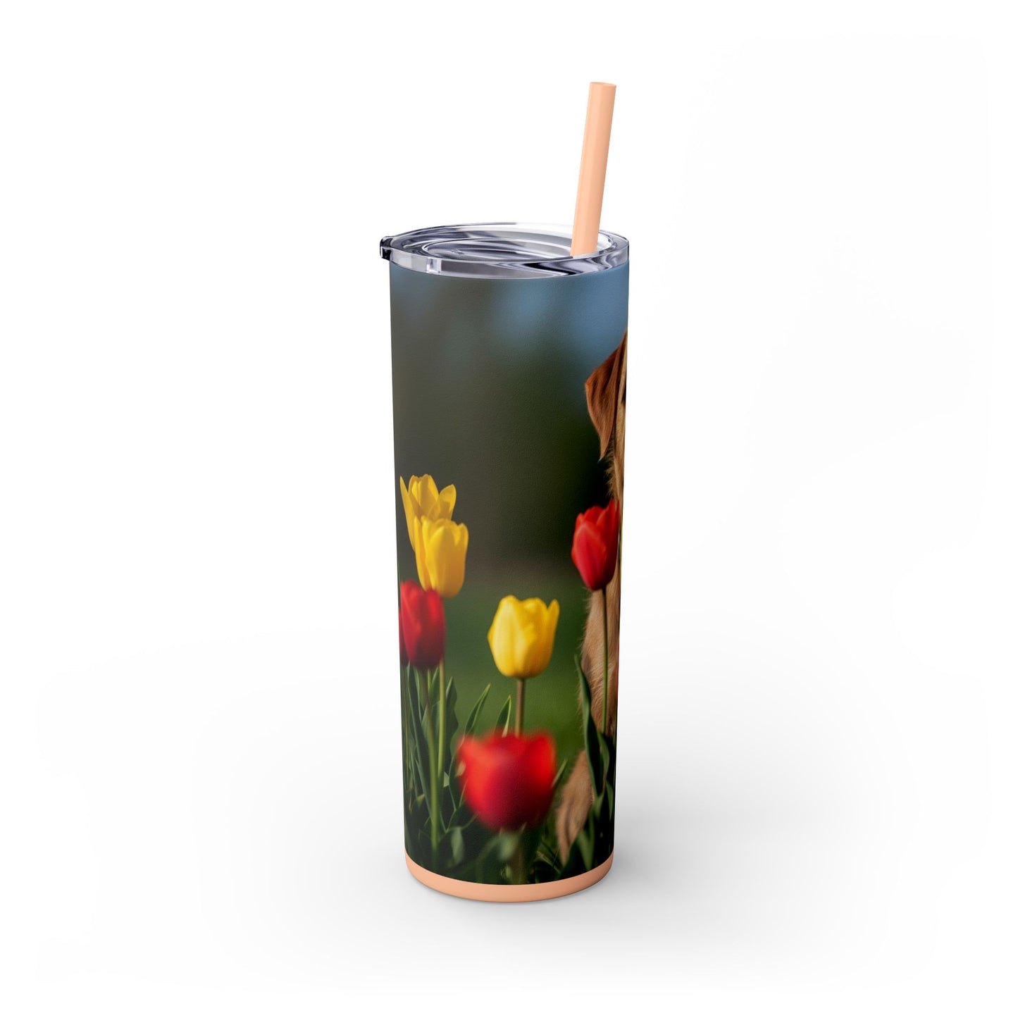 Pumi Skinny Tumbler with Straw, 20oz
