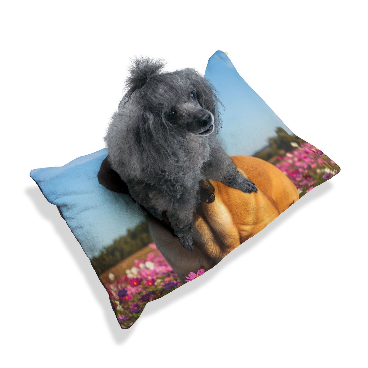 Cama para mascotas Mastín Español