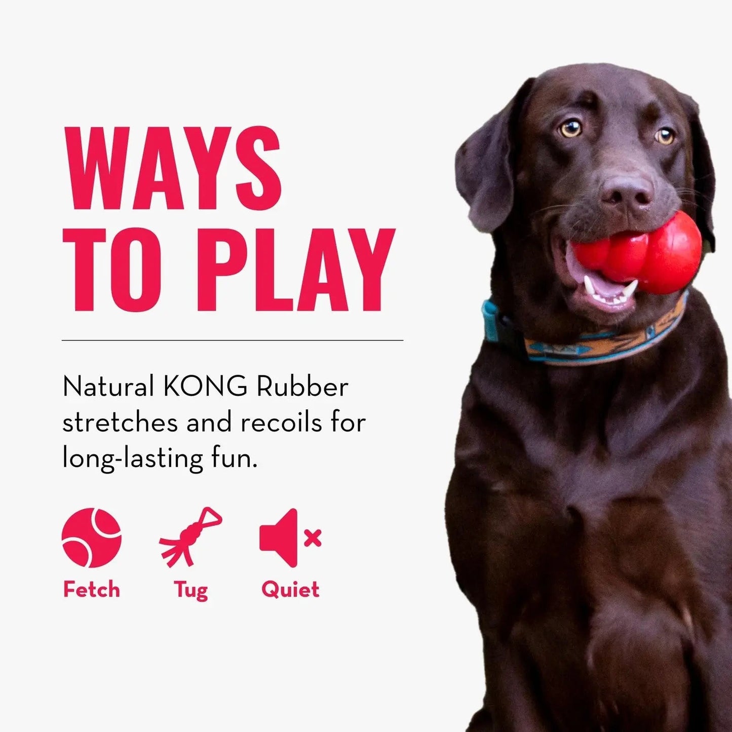 KONG - Jeu de tir à la corde - En caoutchouc extensible et résistant - pour chiens de taille moyenne