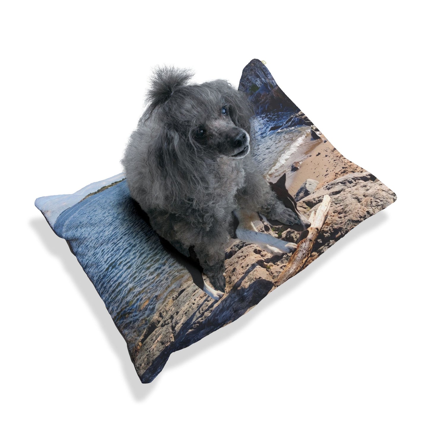 Karelian Bear Dog Pet Bed