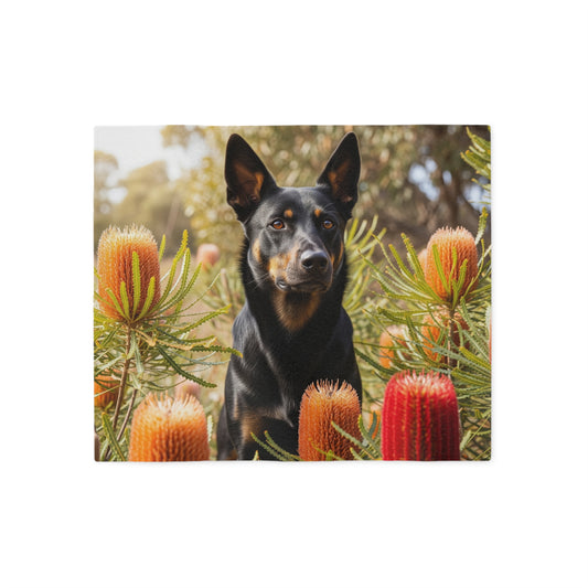 Working Kelpie Sweatshirt Blanket