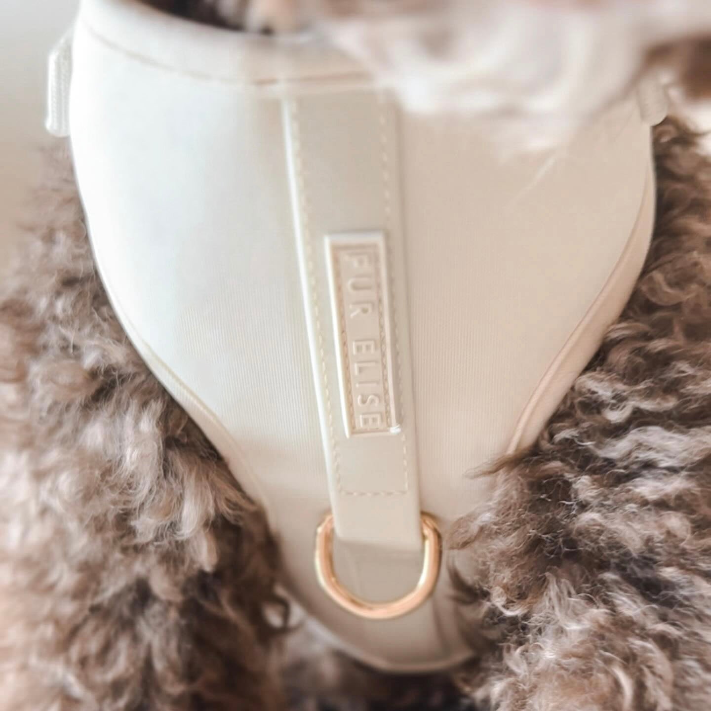 Ensemble de marche essentiel - Os