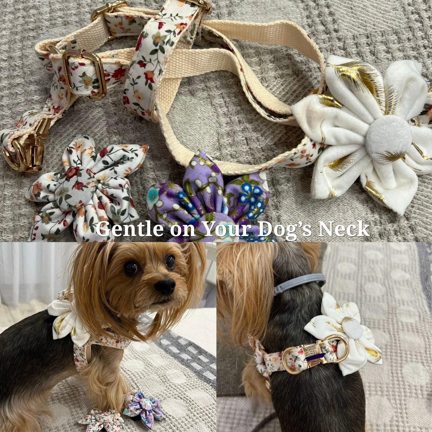 Conjunto clásico de terciopelo con hoja de oro y marfil personalizado