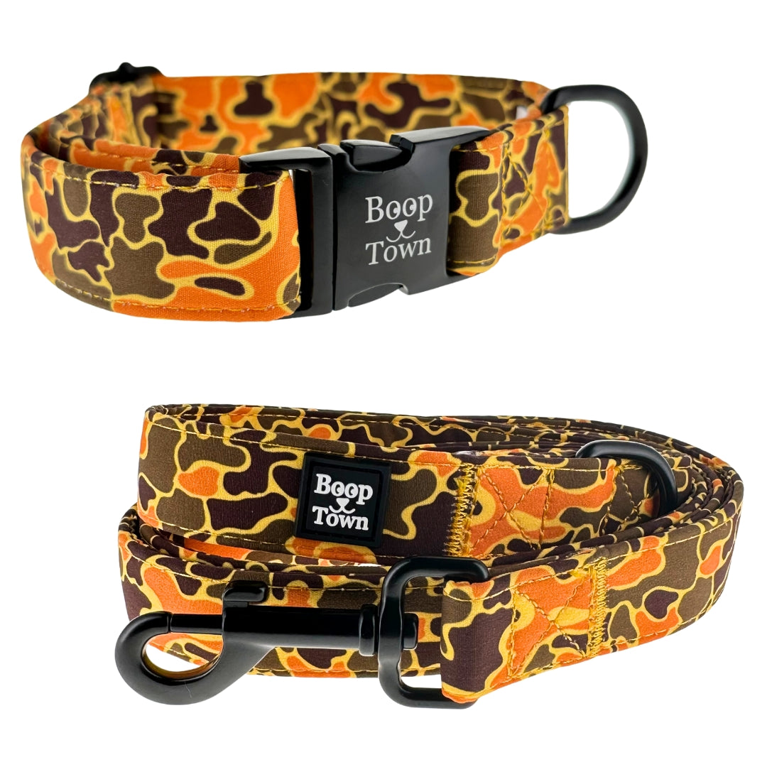 Ensembles collier et laisse pour chien