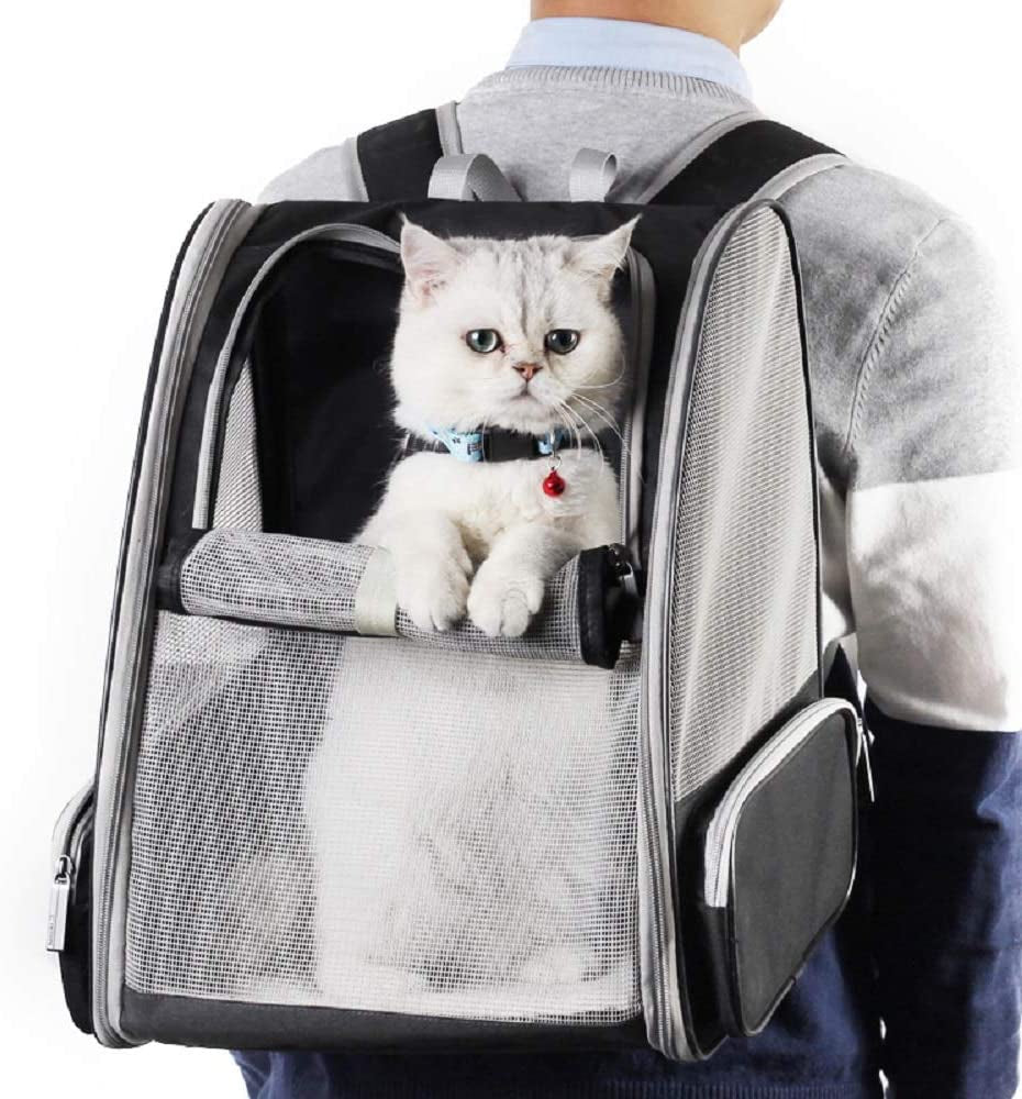 Sacs de transport à bulles pour chats et chiens