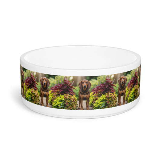 Hamiltonstovare Pet Bowl