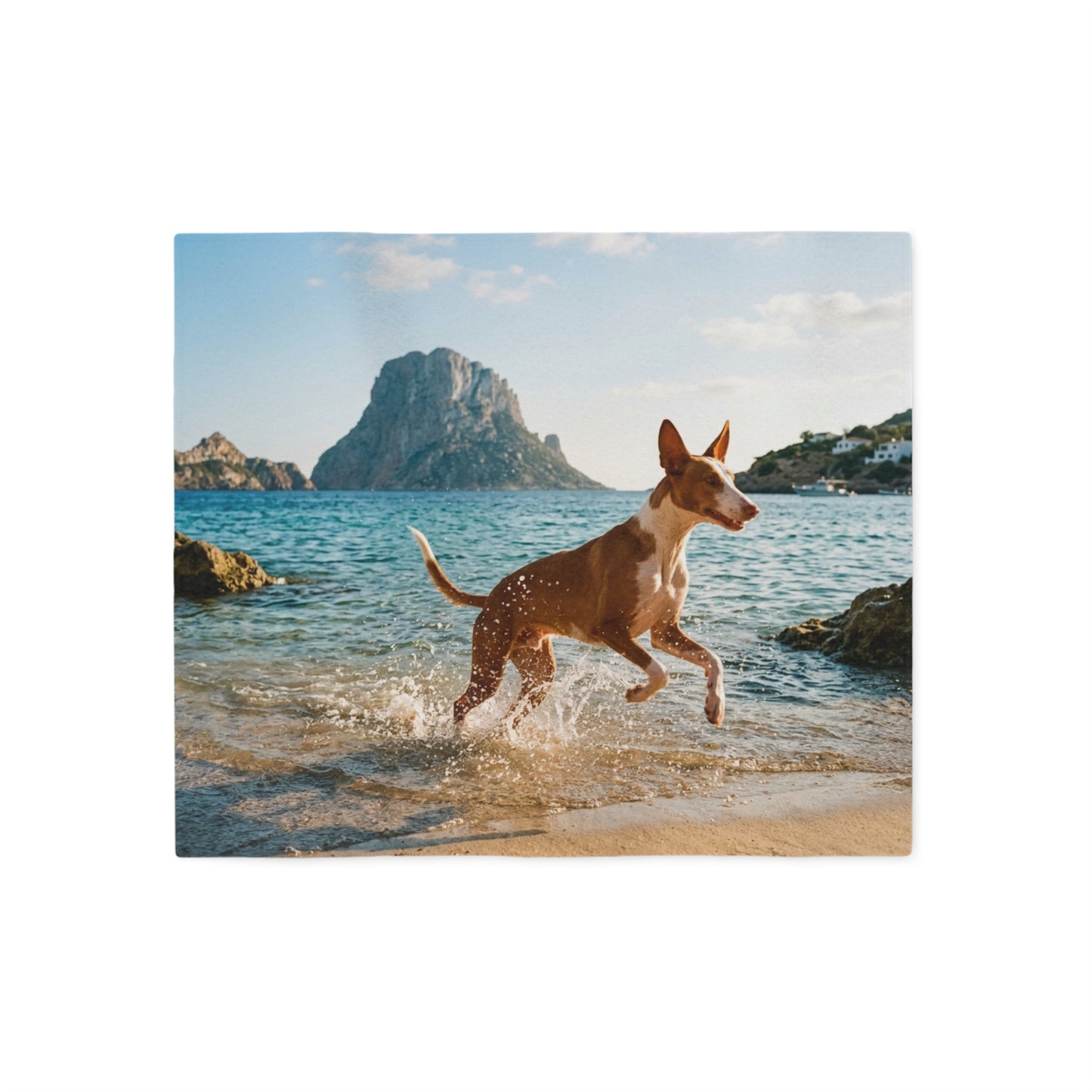 Ibizan Hound Blanket