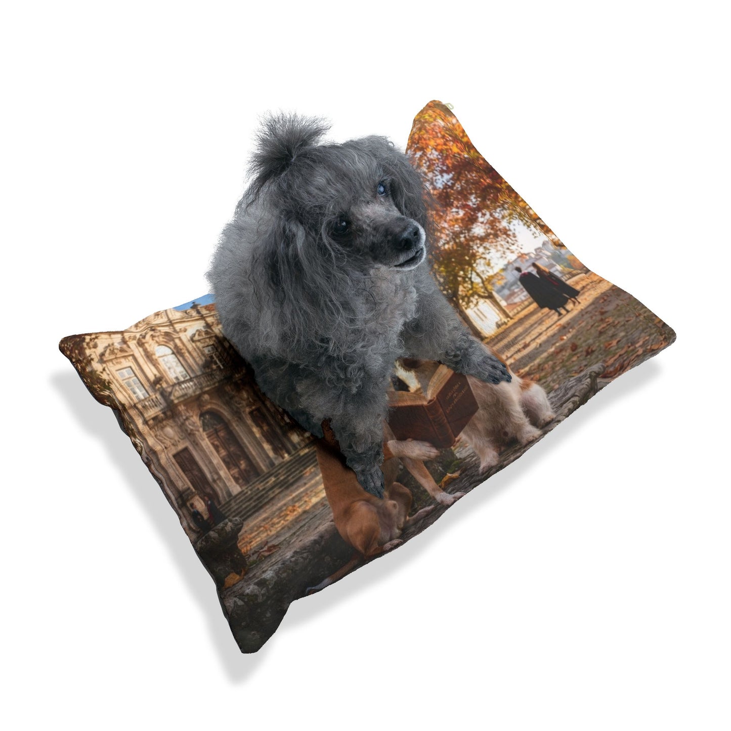 Portuguese Podengo Pet Bed