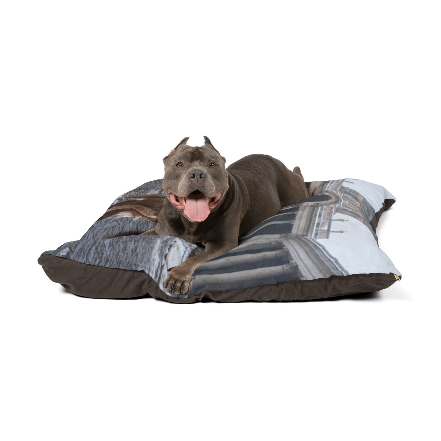 Bracco Italiano Pet Bed