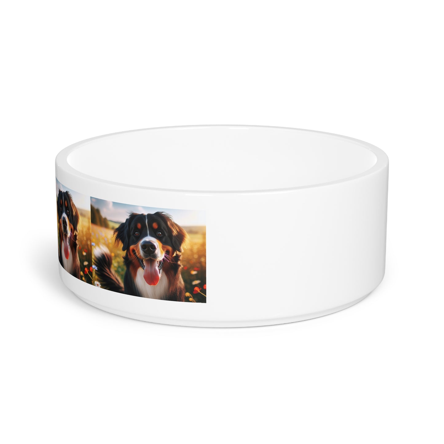 Bernese Mountain Dog Pet Bowl