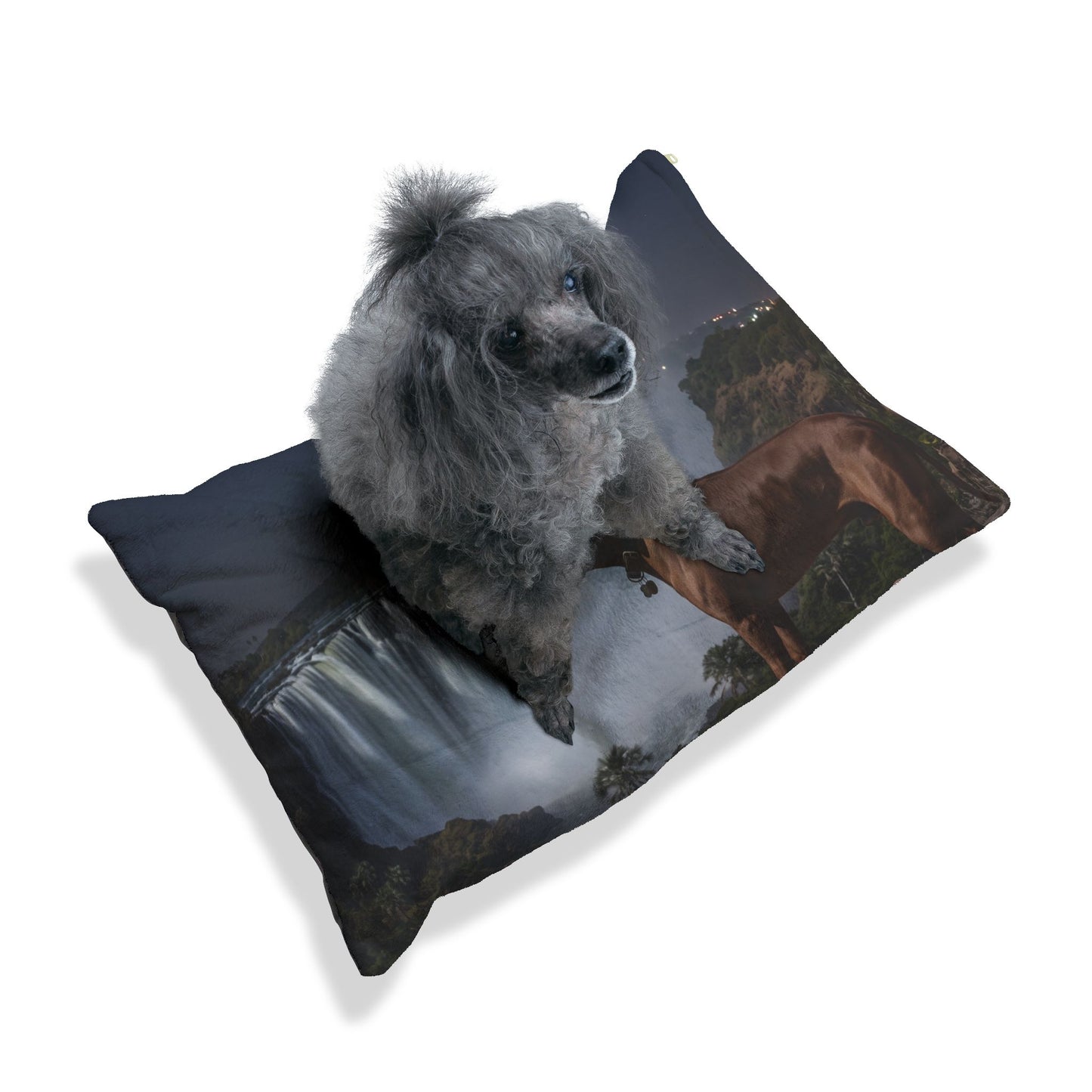 Rhodesian Ridgeback Pet Bed