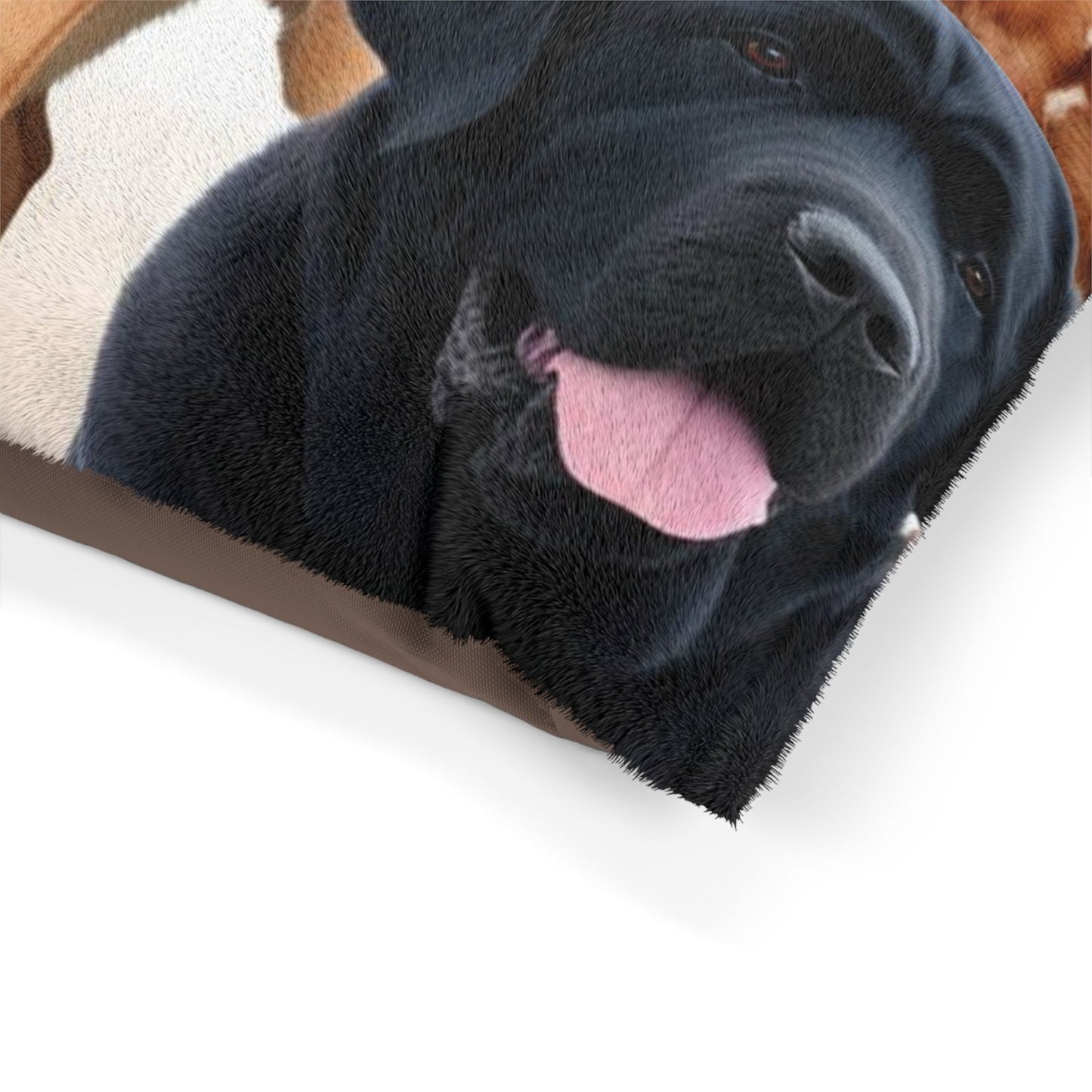 Big Dogs Pet Bed