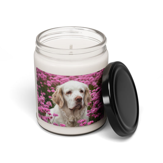 Bougie parfumée au soja Clumber Spaniel, 255 g 