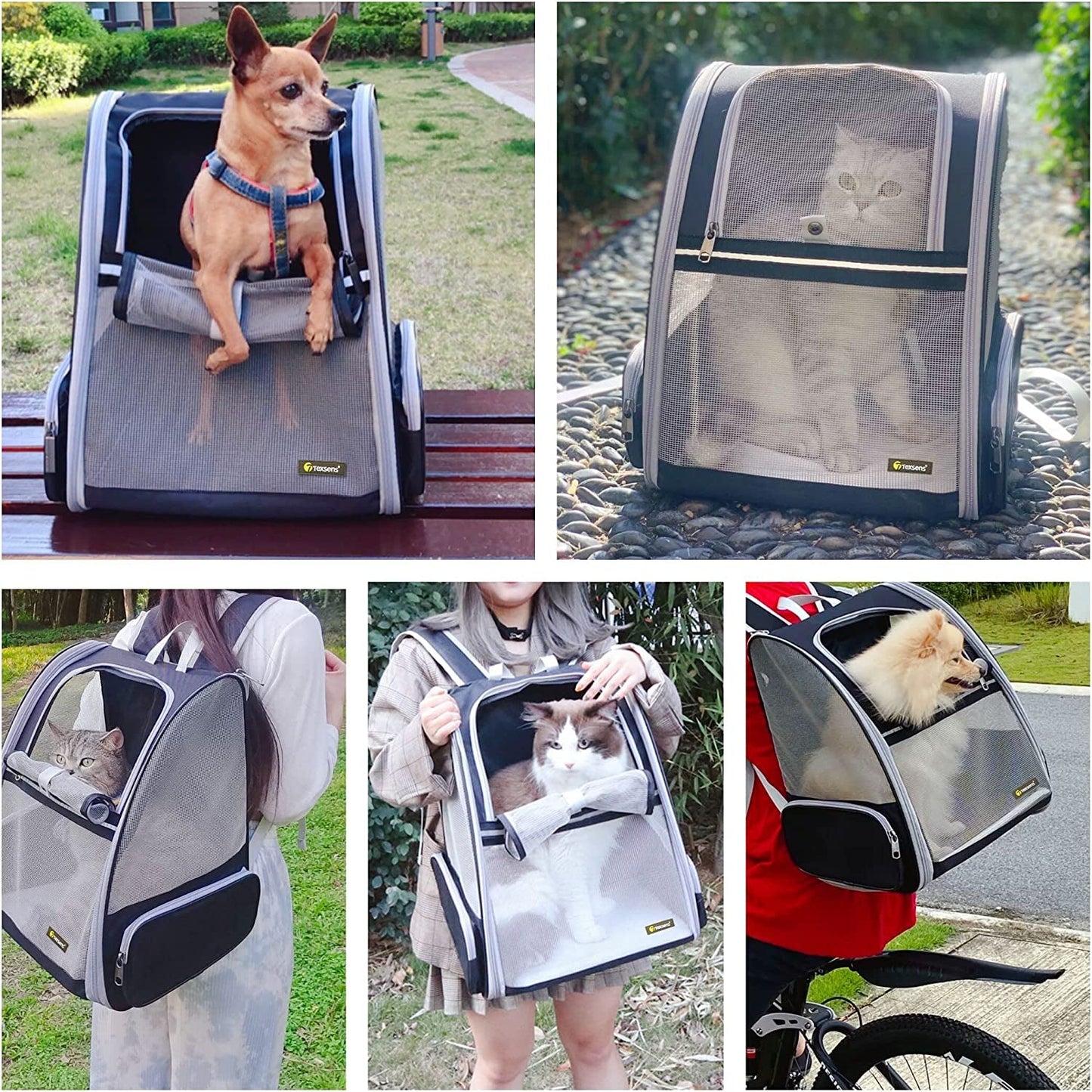 Sacs de transport à bulles pour chats et chiens
