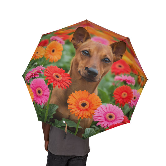 Brazilian Terrier Semi-Automatic Foldable Umbrella
