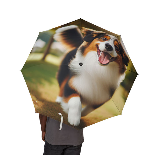 Miniature American Shepherd Semi-Automatic Foldable Umbrella