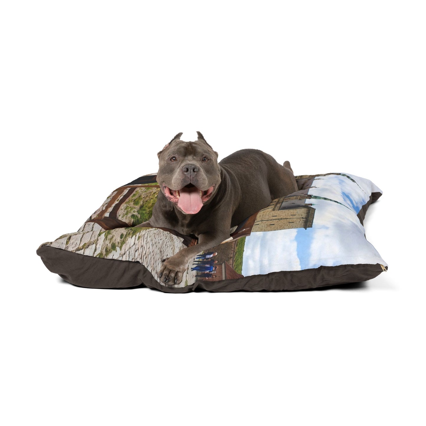 Danish-Swedish Farmdog Pet Bed