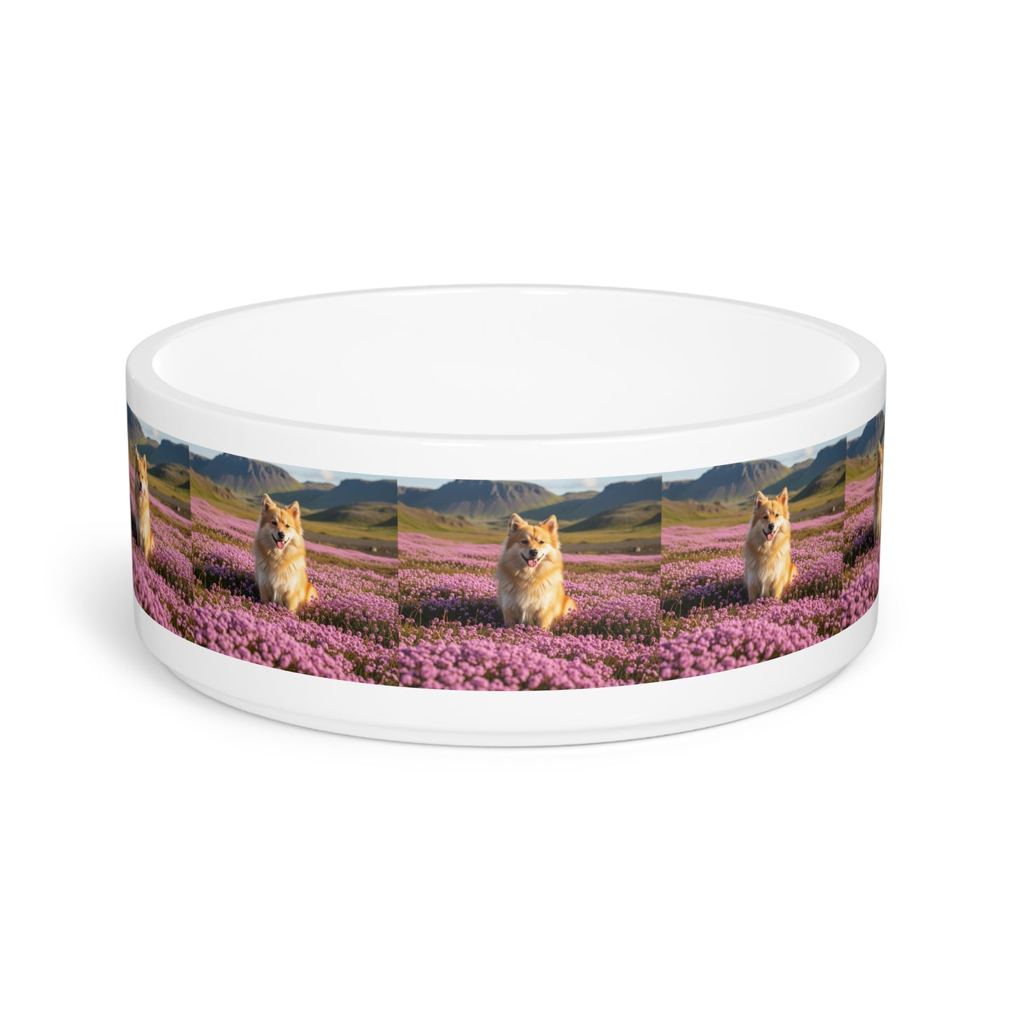 Ceramic Pet Bowl – 16 oz Dog Feeding Bowl