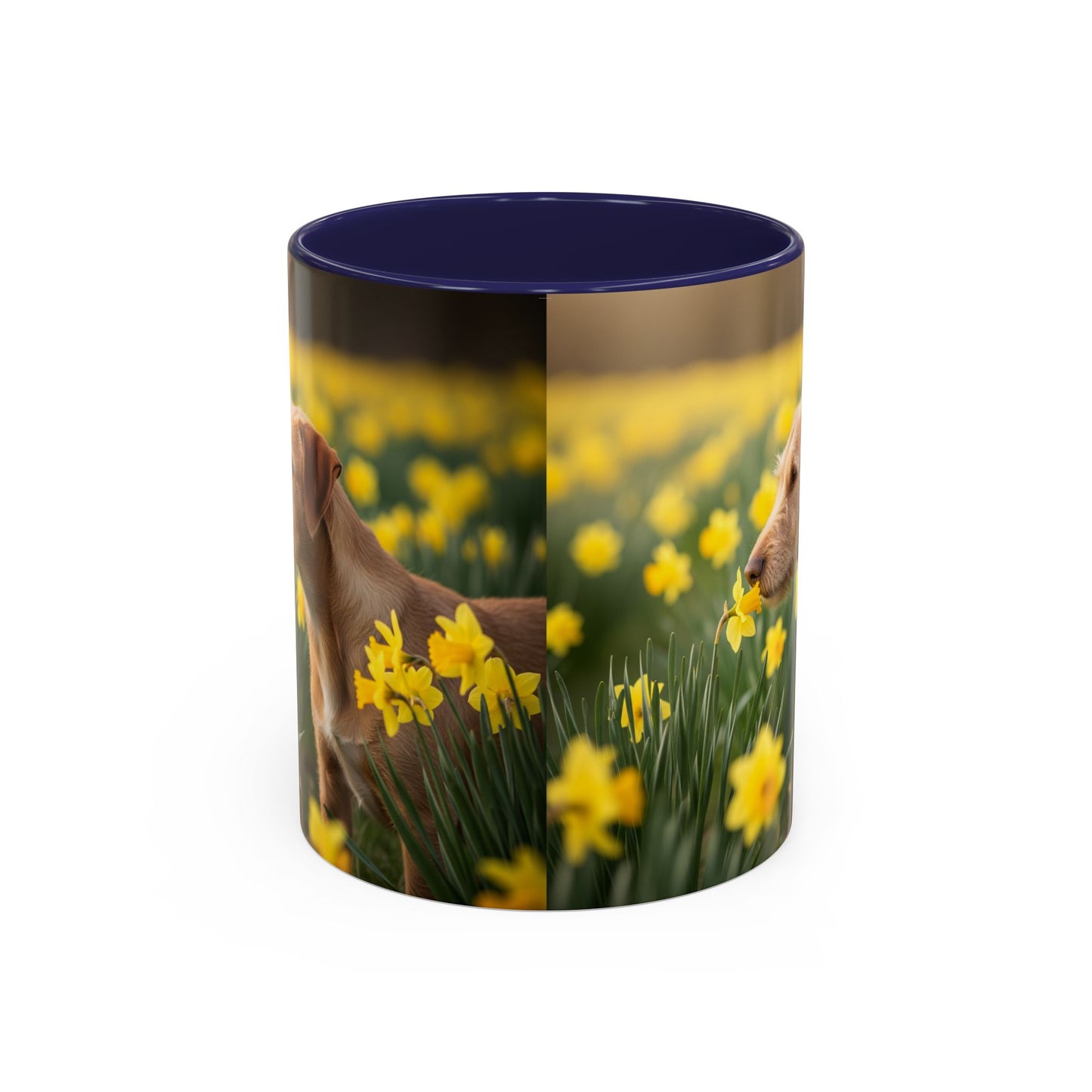 Mug à café avec motif Podengo Pequeno portugais - Cadeau idéal pour les amoureux des chiens