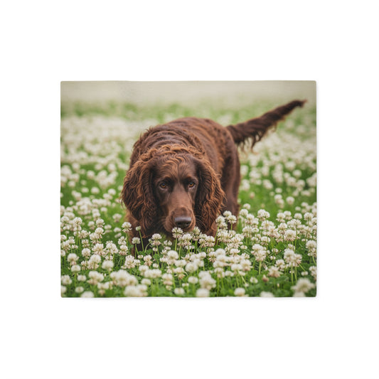 Irish Water Spaniel Sweatshirt Blanket